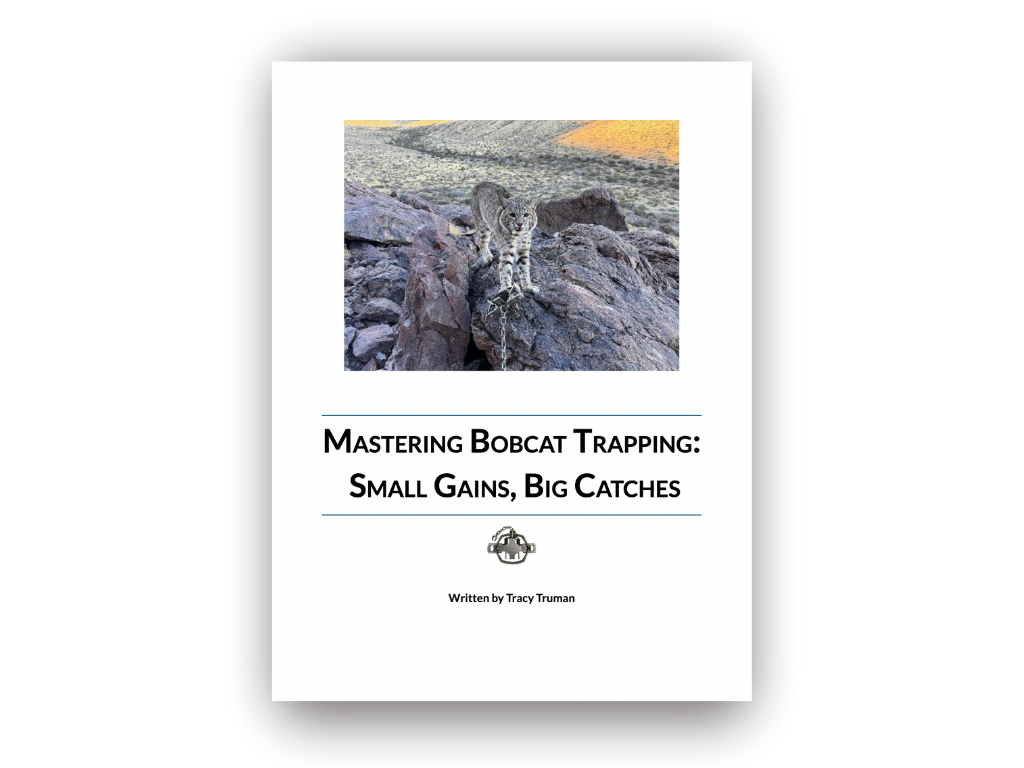 Mastering Bobcat Trapping: Small Gains, Big Catches Book