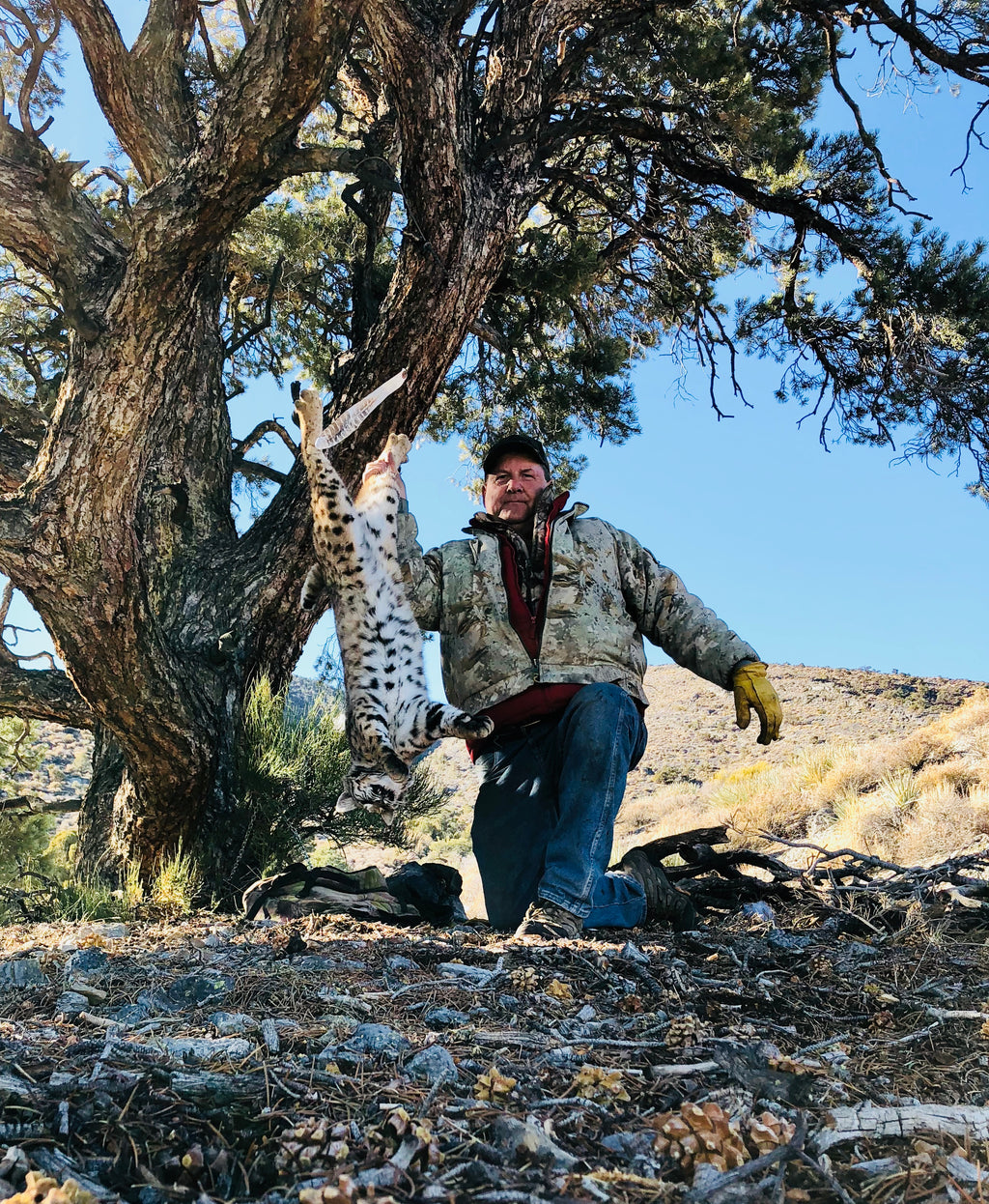 Turkey Wing Feather - Pack of 10