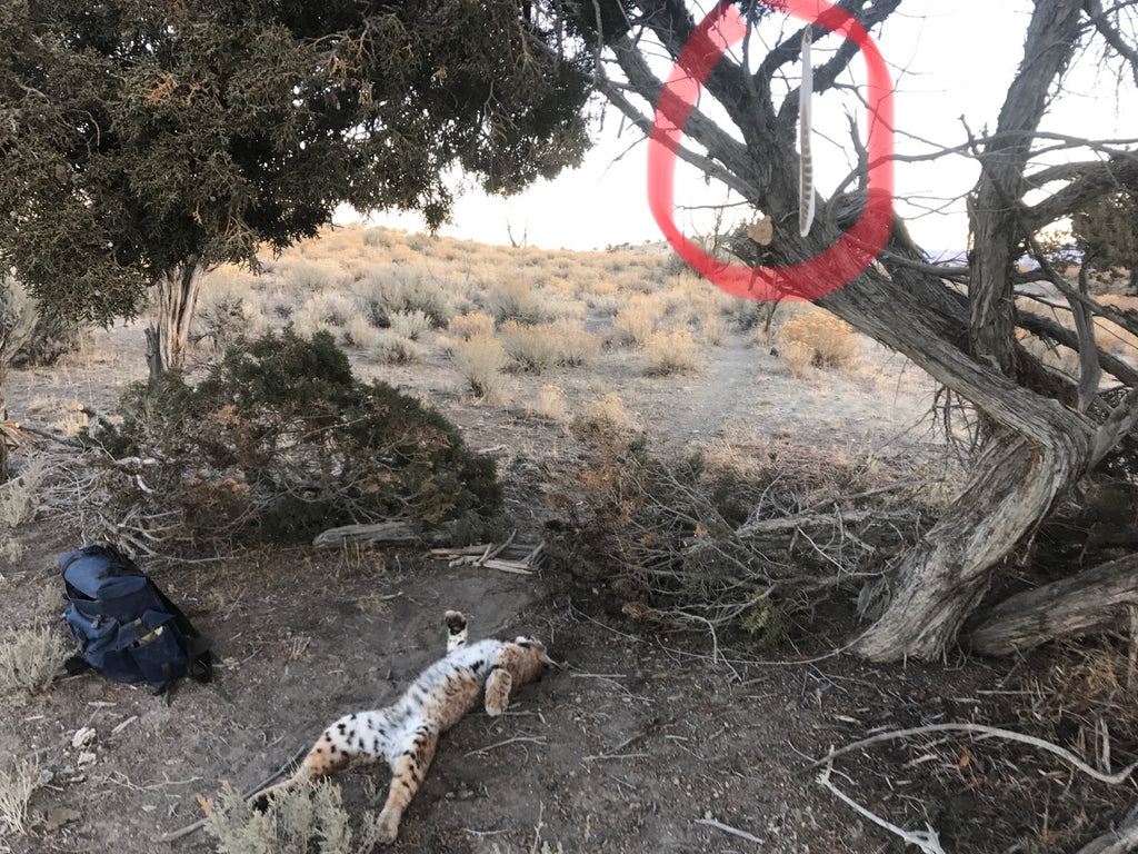 Turkey Wing Feather - Pack of 10