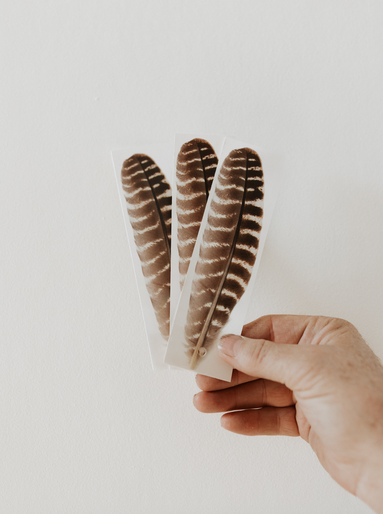 Turkey Wing Feather Junior - Pack of 10