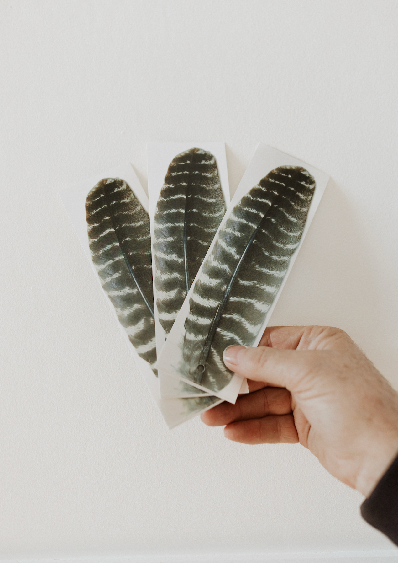 Turkey Wing Feather - Pack of 10