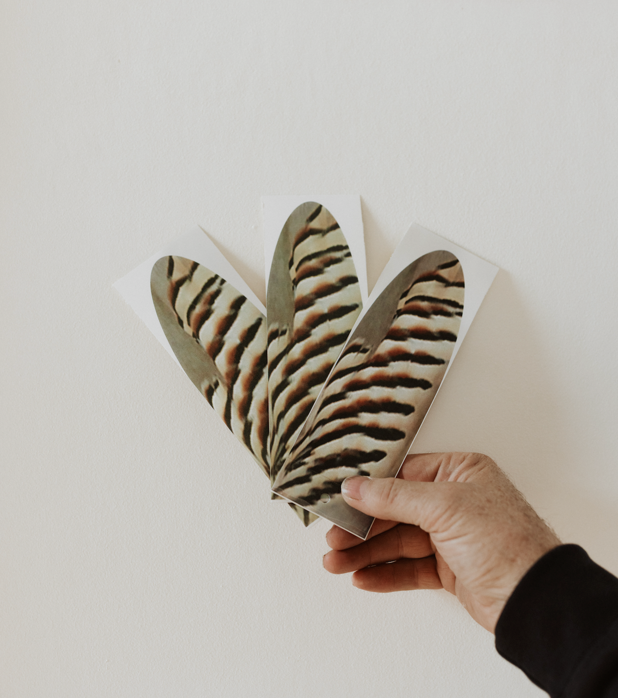 Western Magic Enticer Feather (Chukar) - Pack of 10