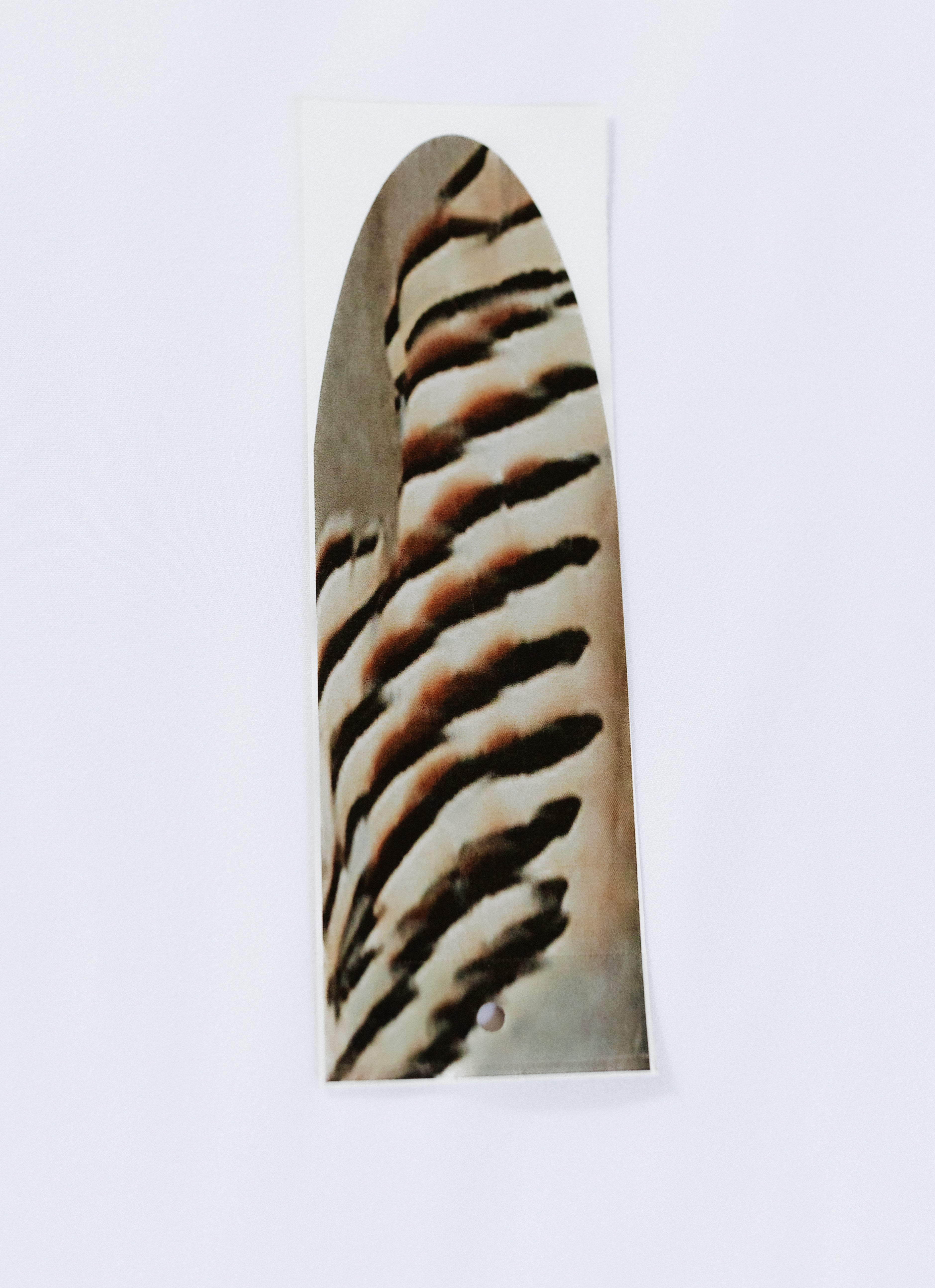 Western Magic Enticer Feather (Chukar) - Pack of 10